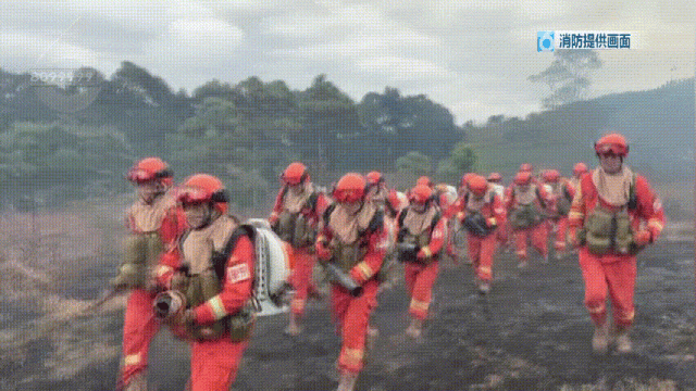 8099999街头巷尾微信