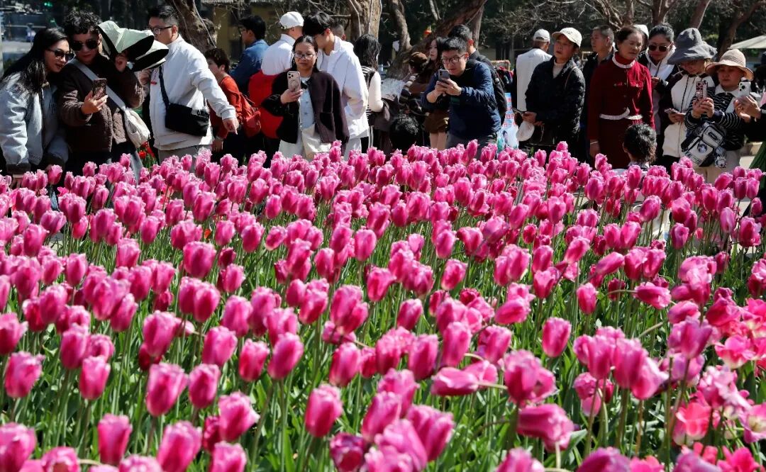 昆明广播电视台