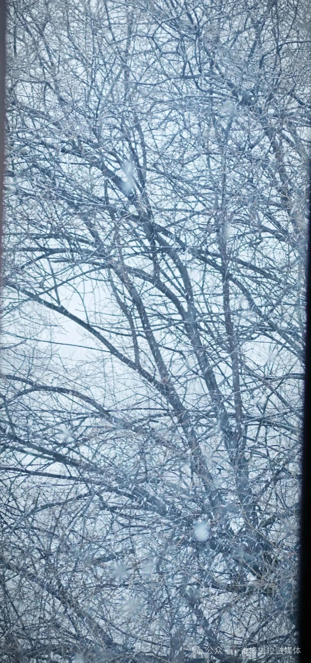 昆明广播电视台