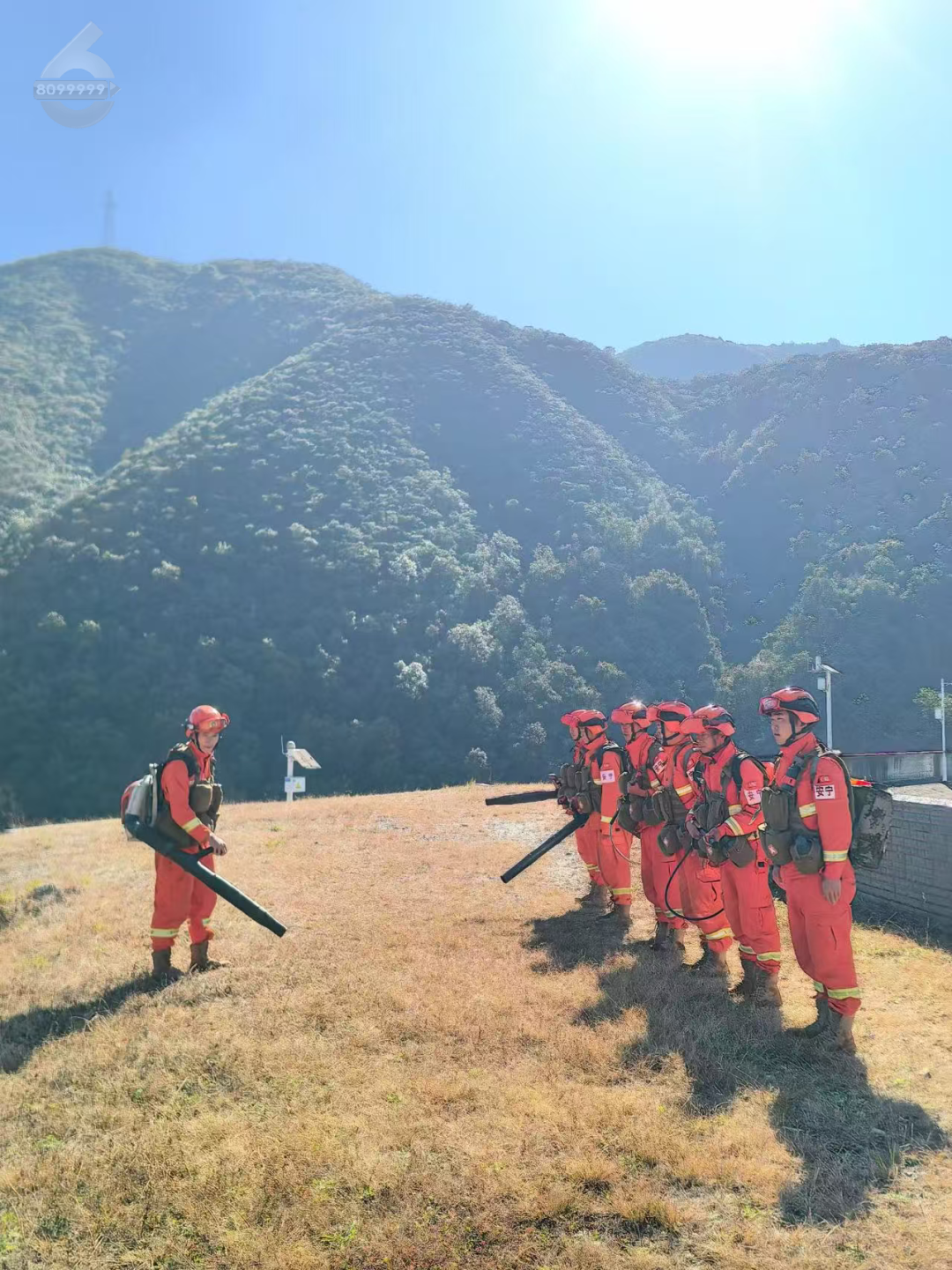 8099999街头巷尾微信