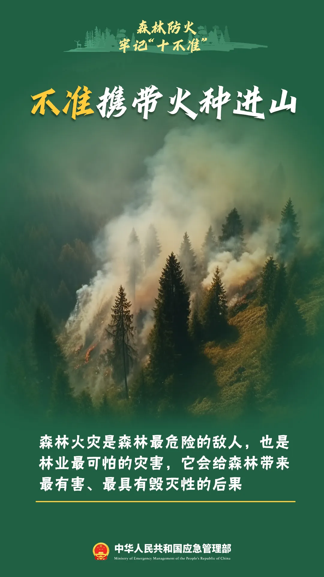 8099999街头巷尾微信