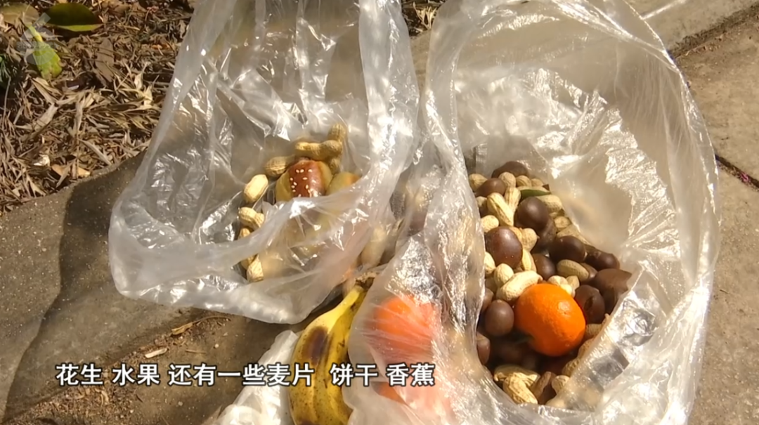 8099999街头巷尾微信