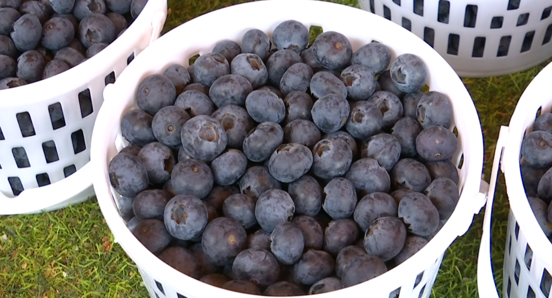 8099999街头巷尾微信