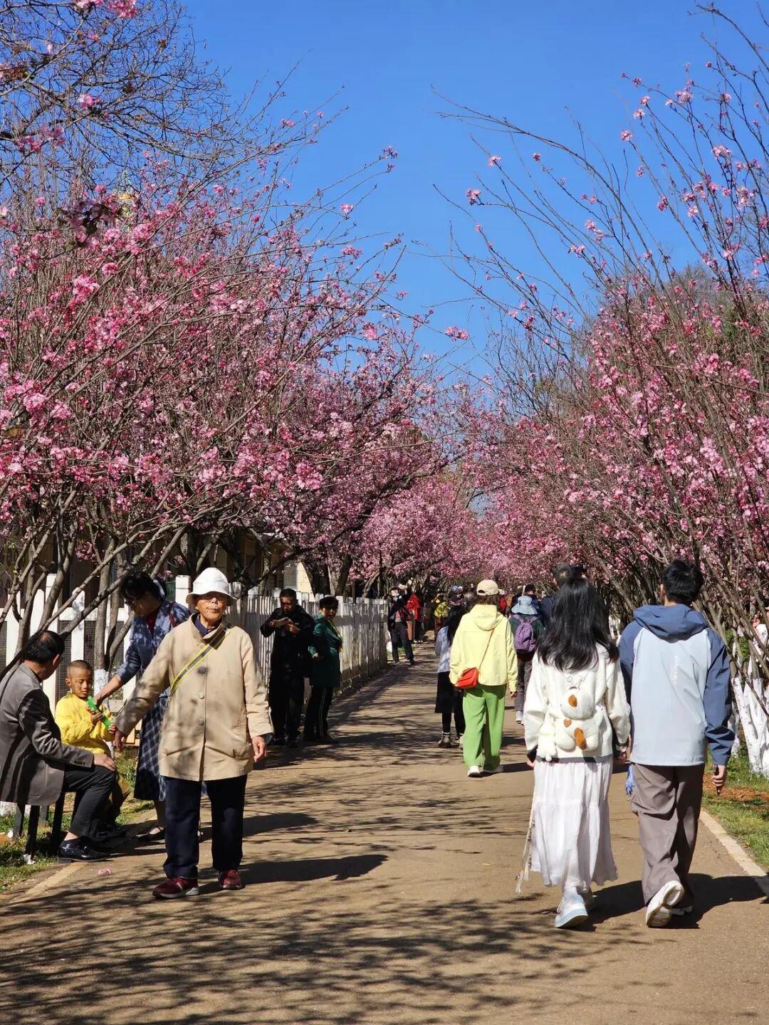 昆明广播电视台经济生活频道