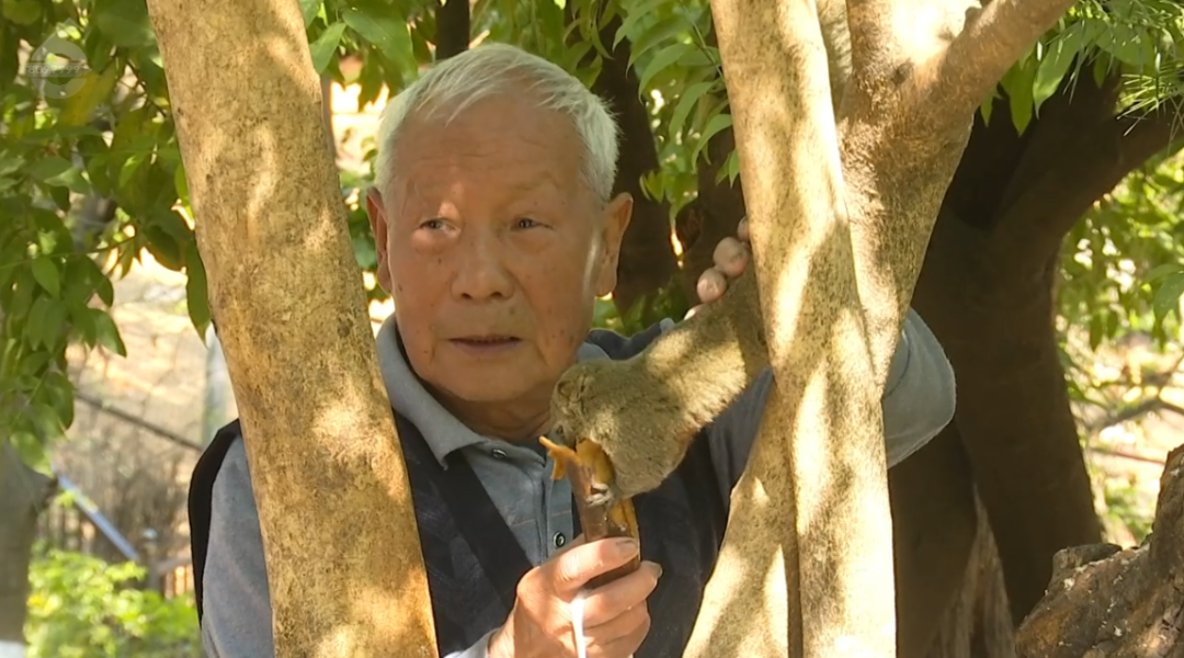 8099999街头巷尾微信