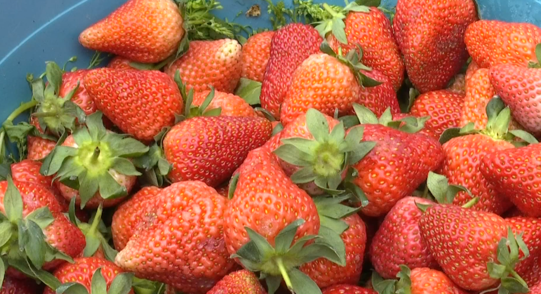 8099999街头巷尾微信