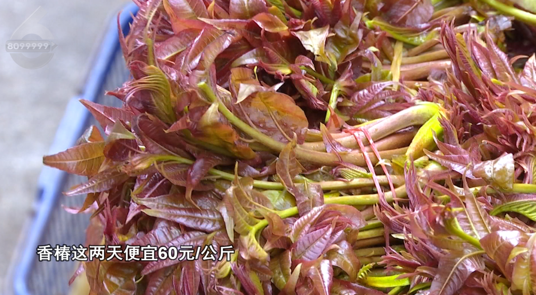 8099999街头巷尾微信