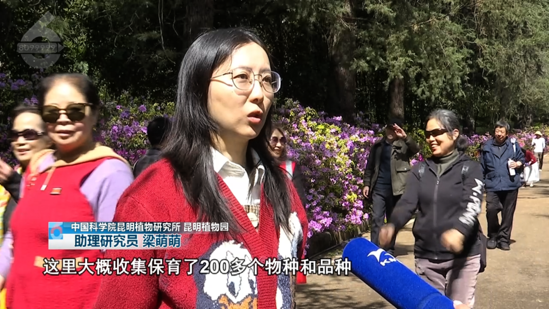 8099999街头巷尾微信