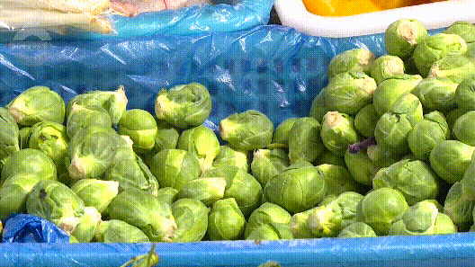 8099999街头巷尾微信