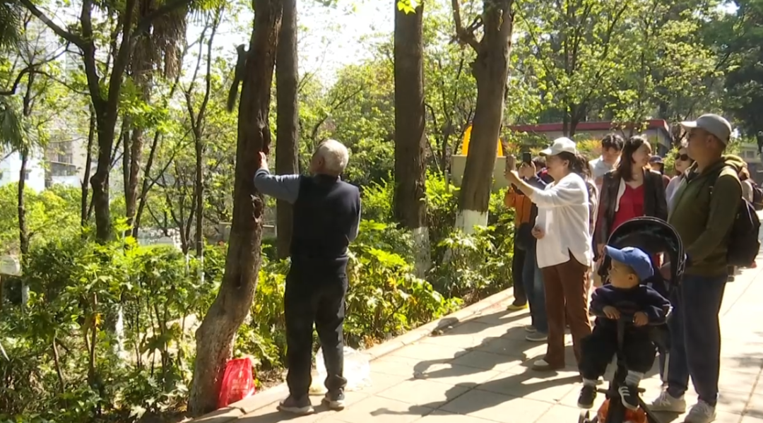 8099999街头巷尾微信