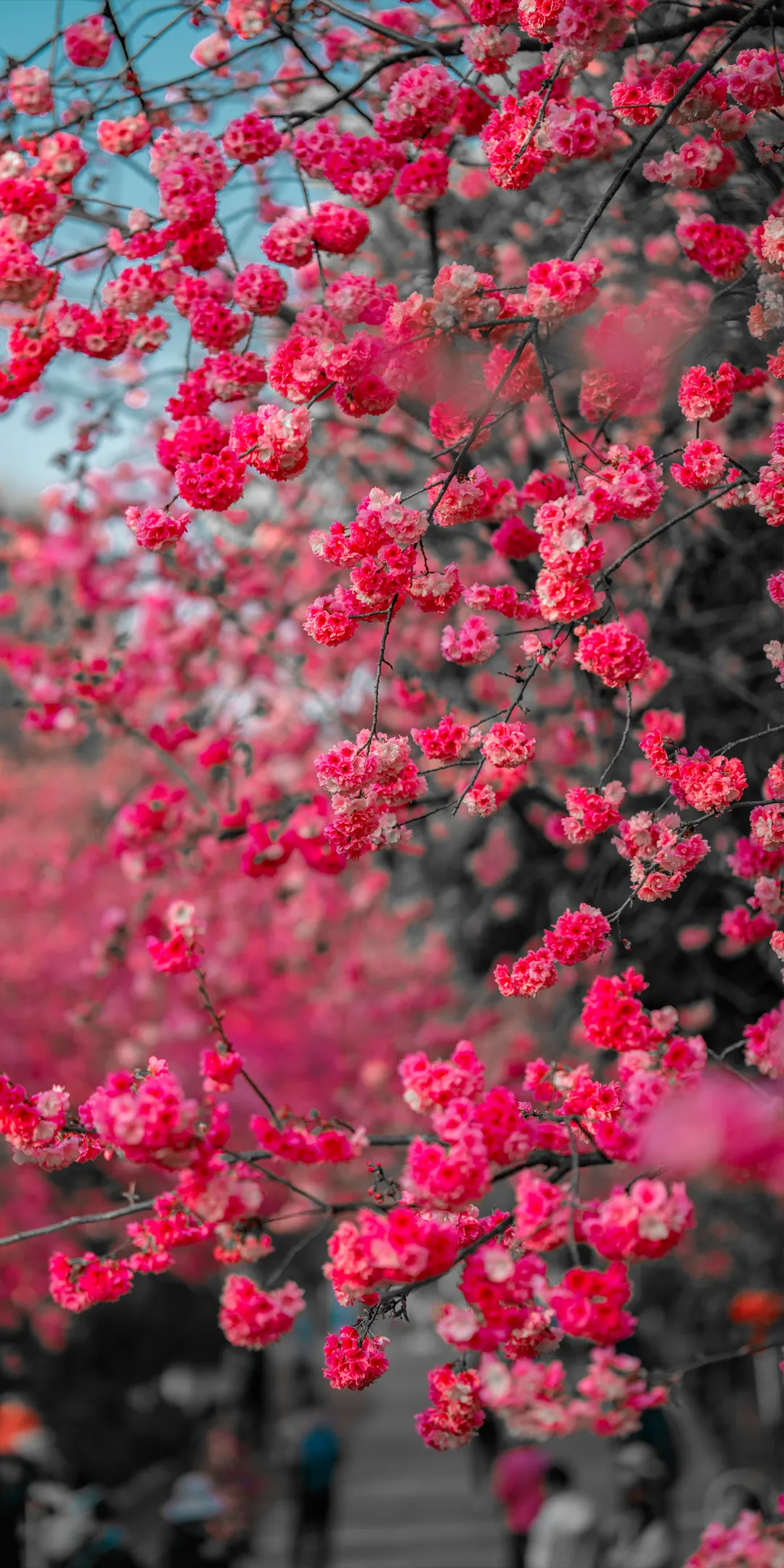 昆明广播电视台经济生活频道