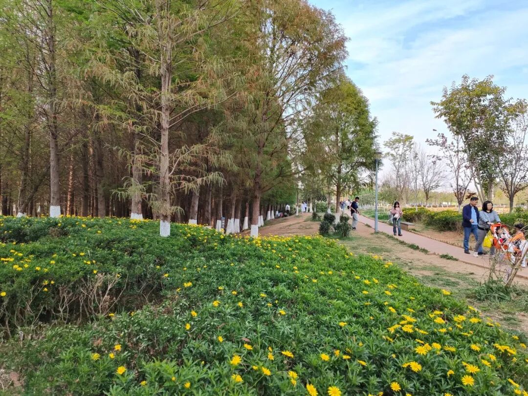 街头巷尾