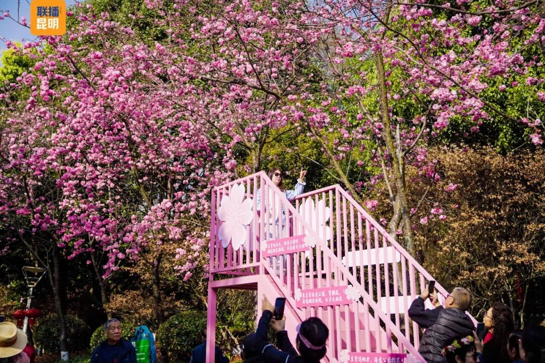 昆明广播电视台