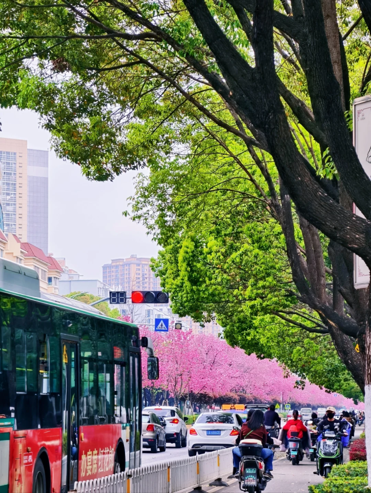 8099999街头巷尾微信