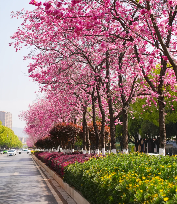 8099999街头巷尾微信