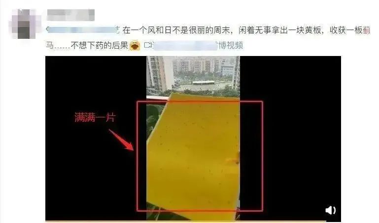 昆明广播电视台