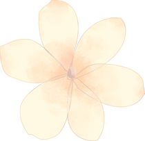 8099999街头巷尾微信