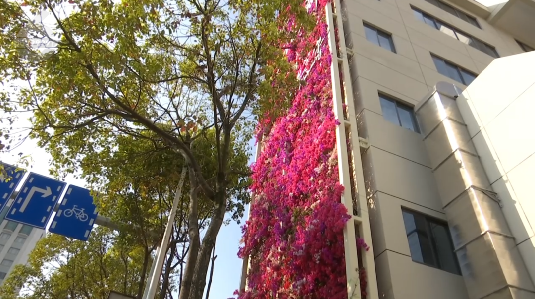 8099999街头巷尾微信