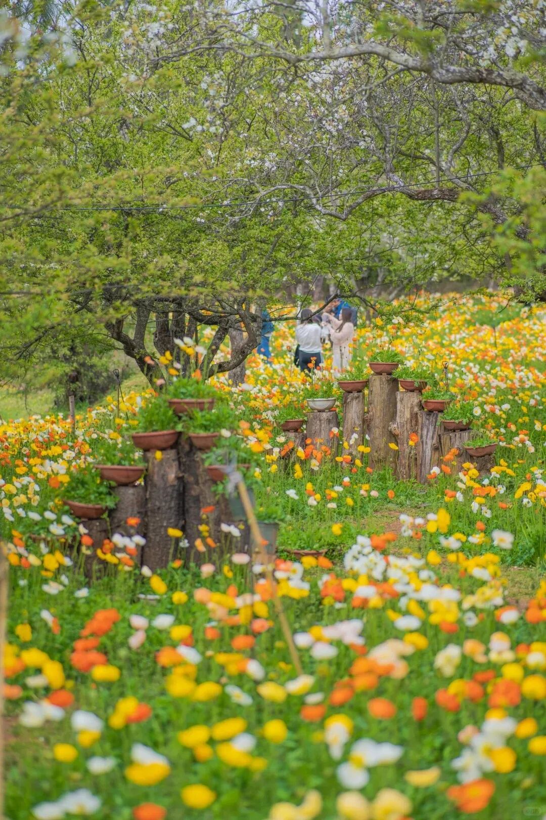 昆明广播电视台经济生活频道