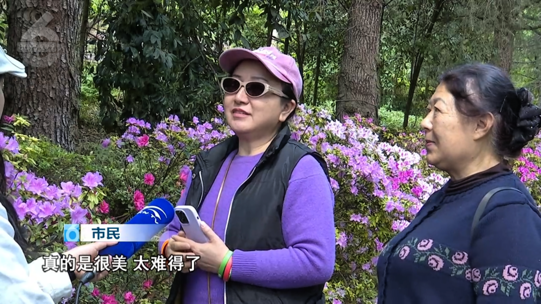 8099999街头巷尾微信