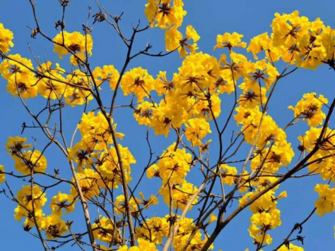 昆明广播电视台