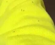 昆明广播电视台