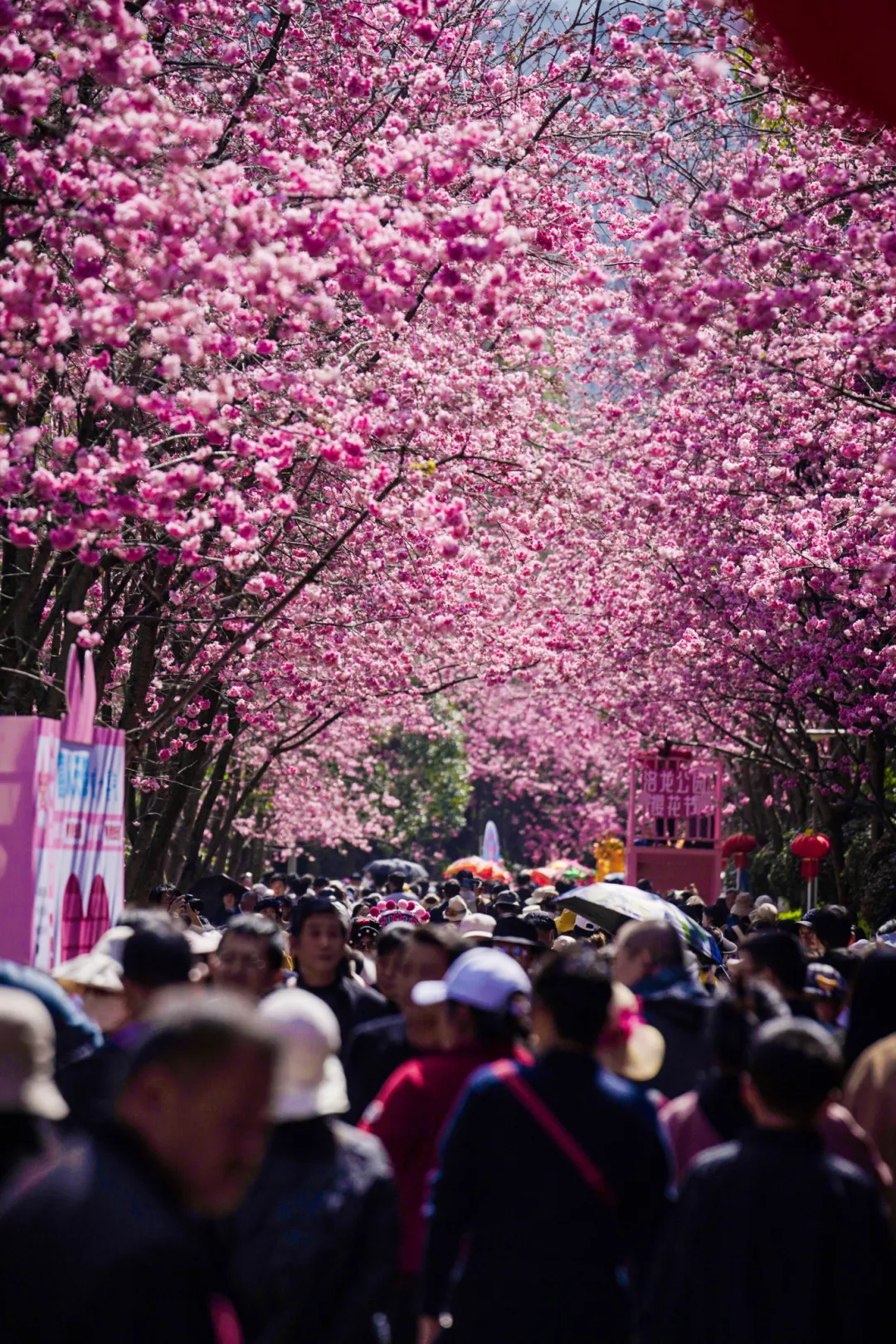昆明广播电视台经济生活频道