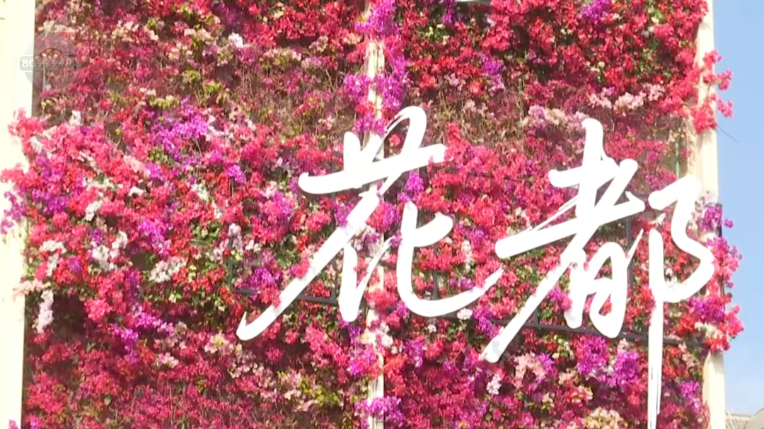 8099999街头巷尾微信