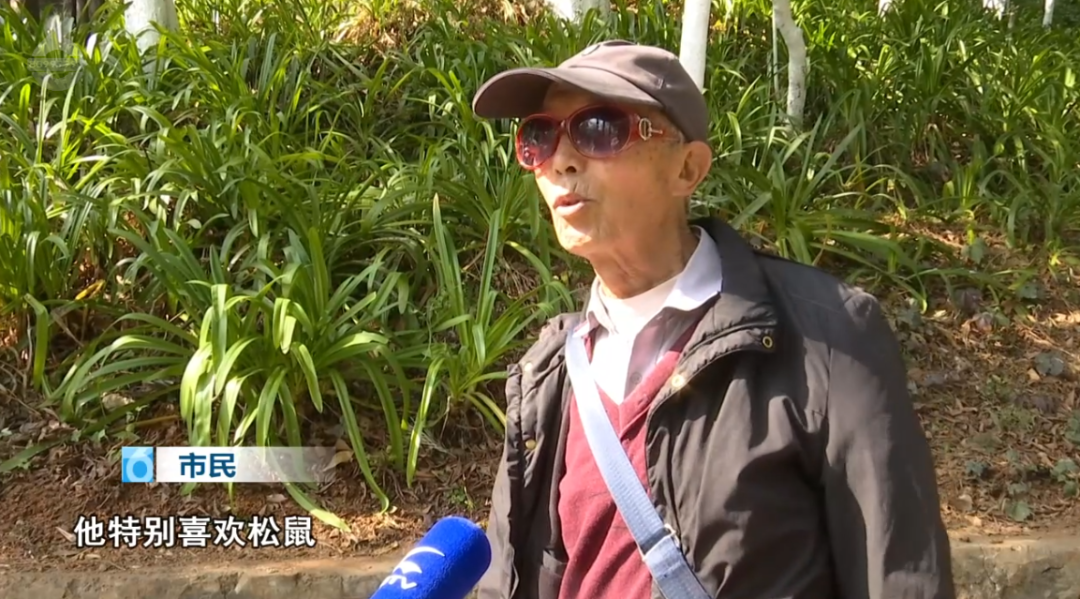 8099999街头巷尾微信