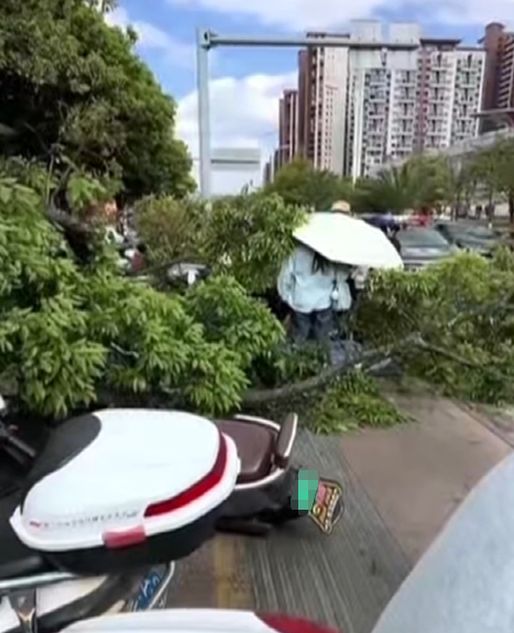 8099999街头巷尾微信