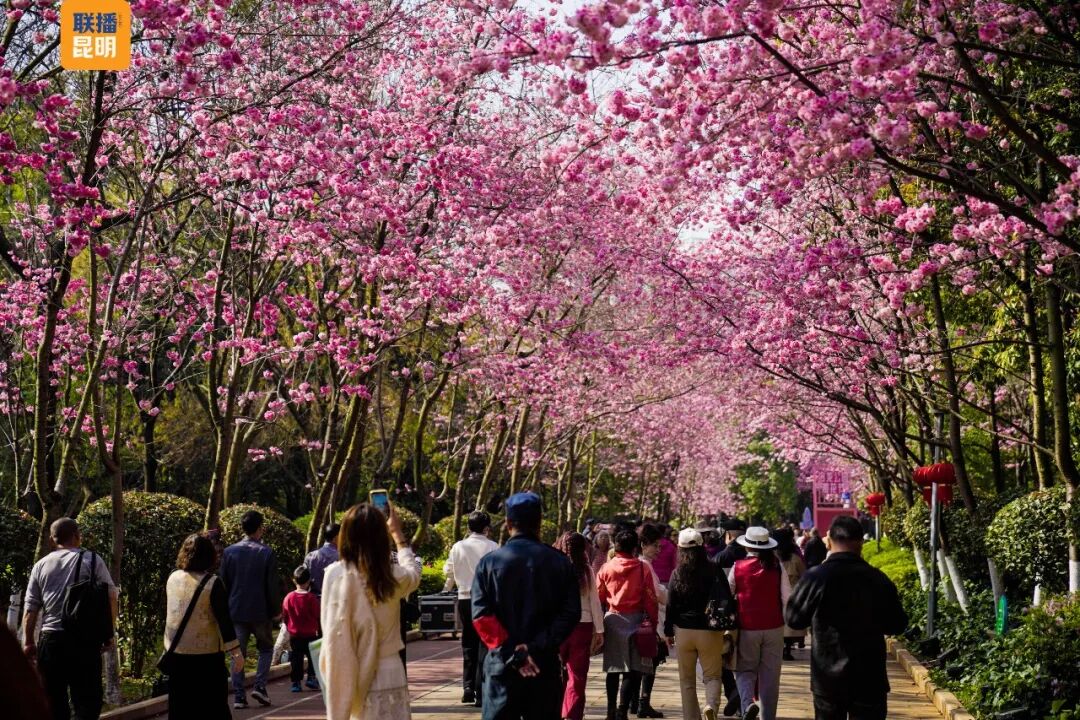 昆明广播电视台