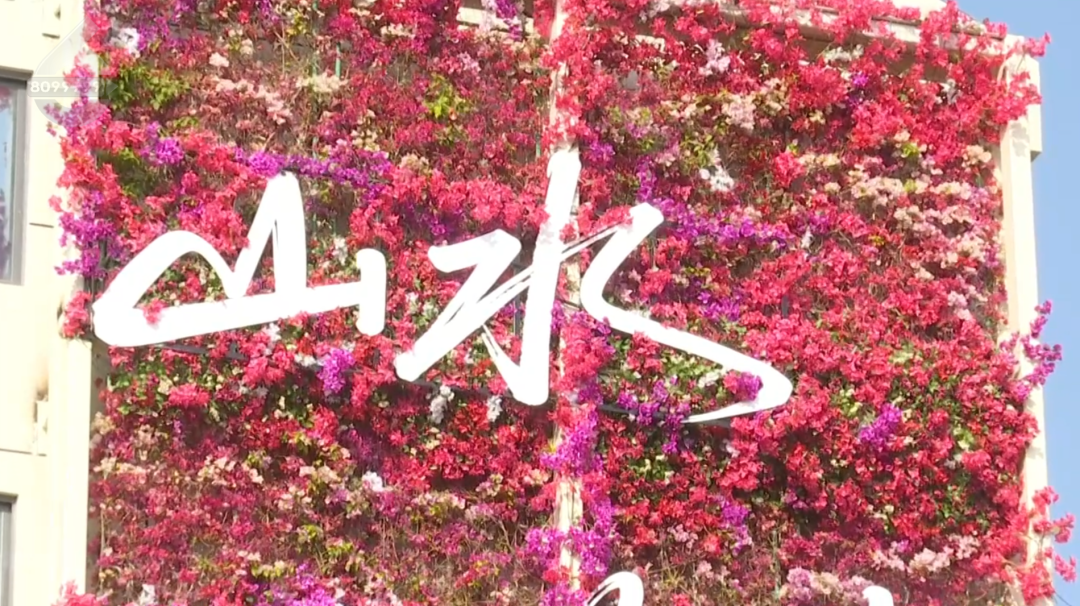 8099999街头巷尾微信