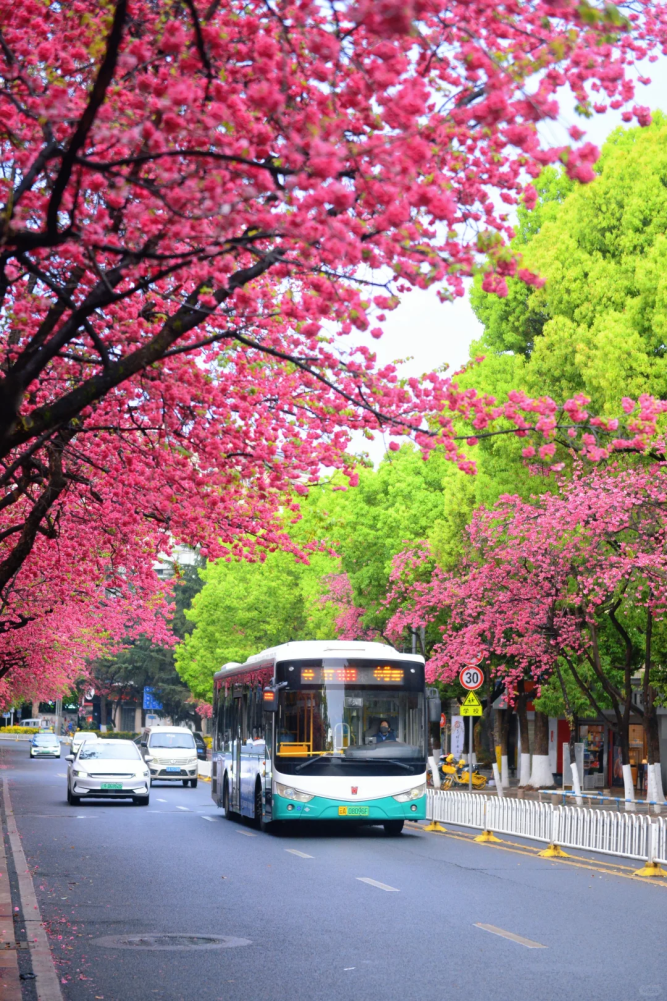 8099999街头巷尾微信