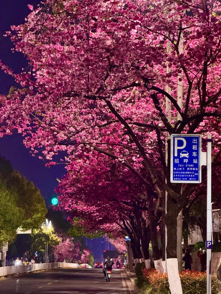 8099999街头巷尾微信