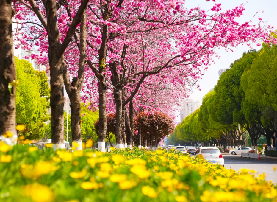 8099999街头巷尾微信