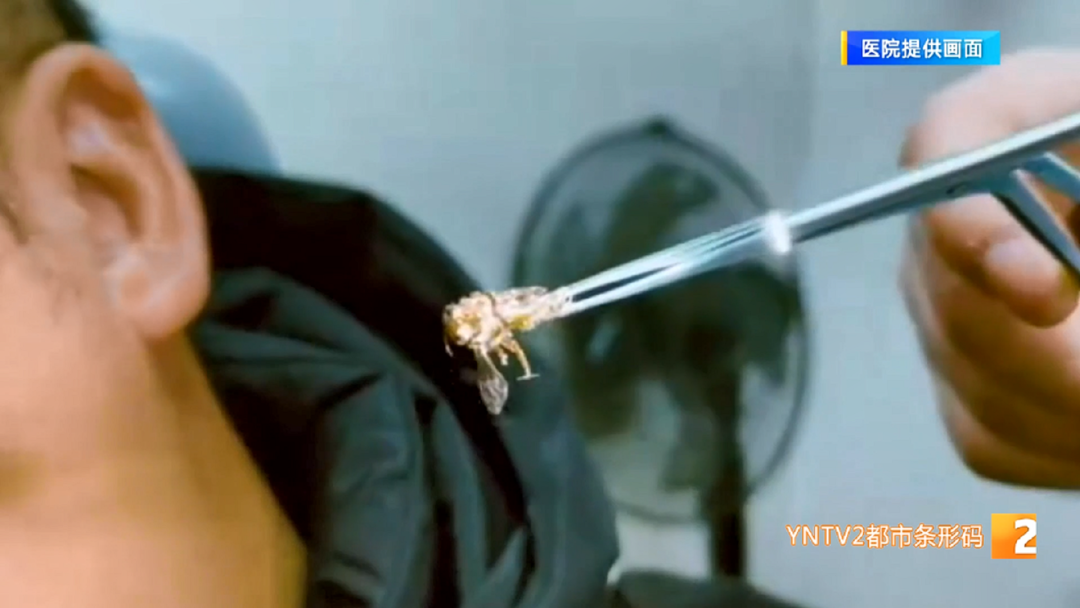 昆明广播电视台