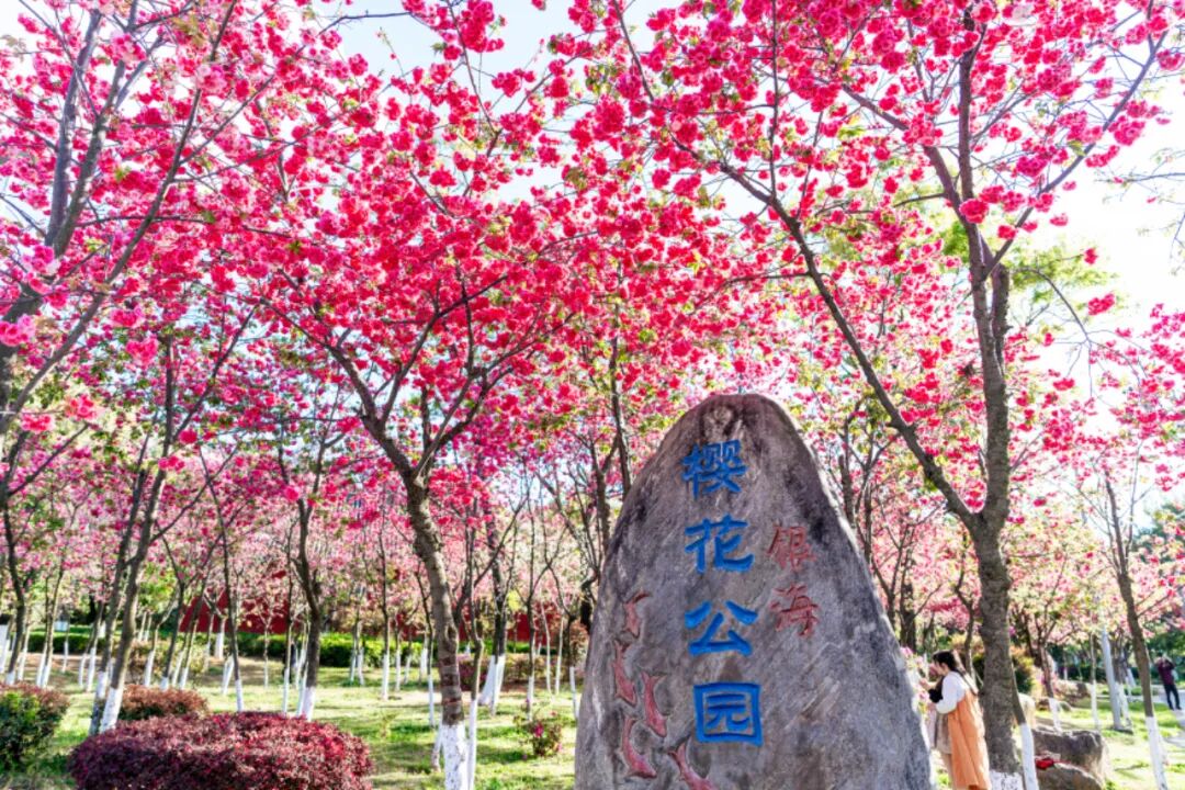 8099999街头巷尾微信