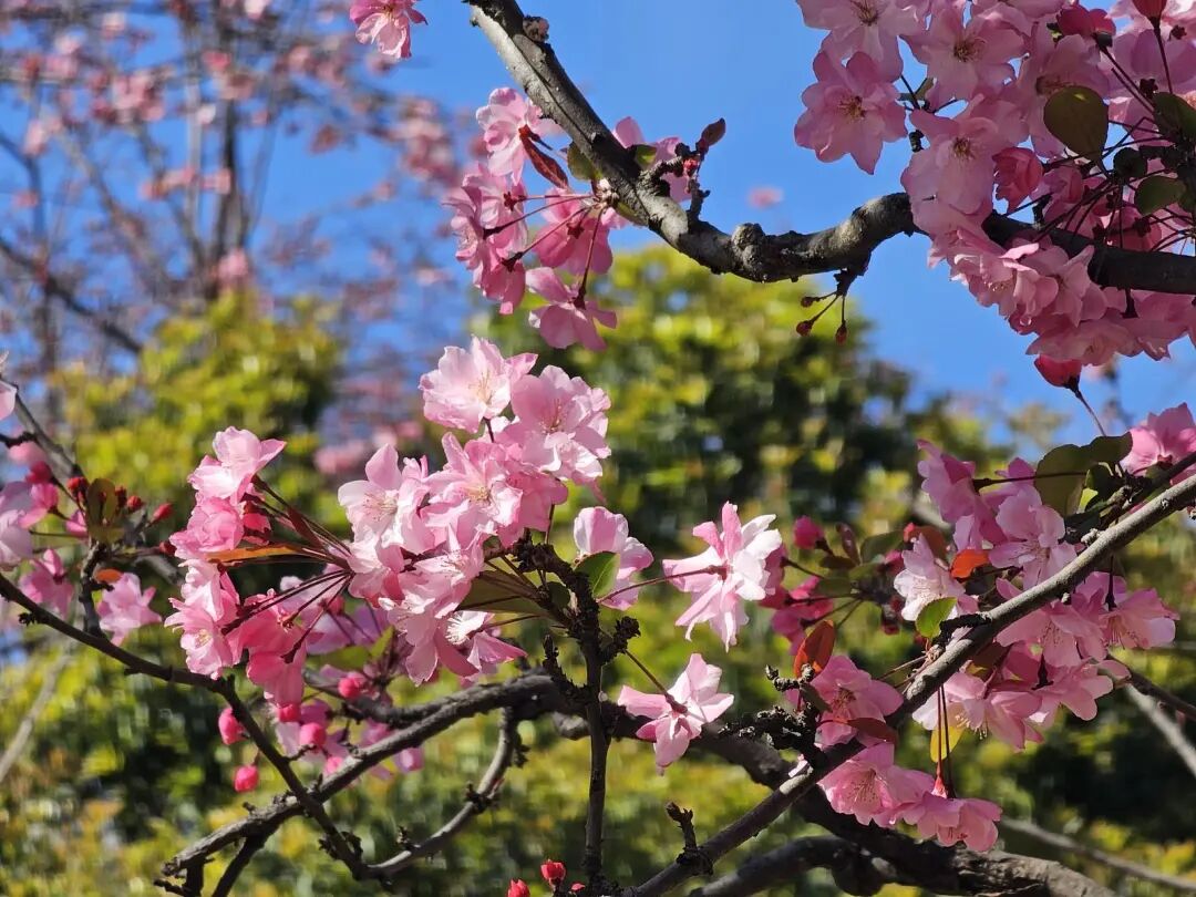 昆明广播电视台经济生活频道