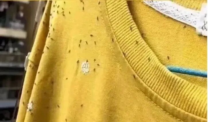 昆明广播电视台