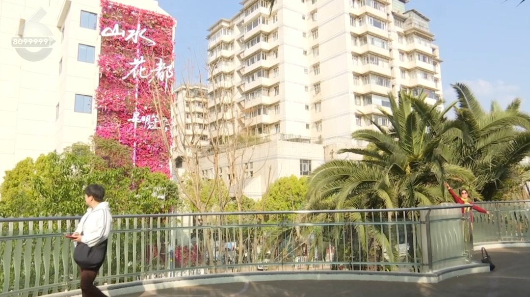 8099999街头巷尾微信