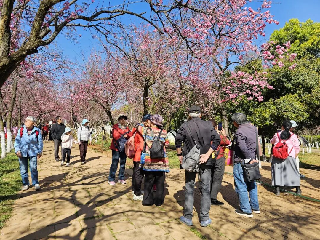 昆明广播电视台经济生活频道