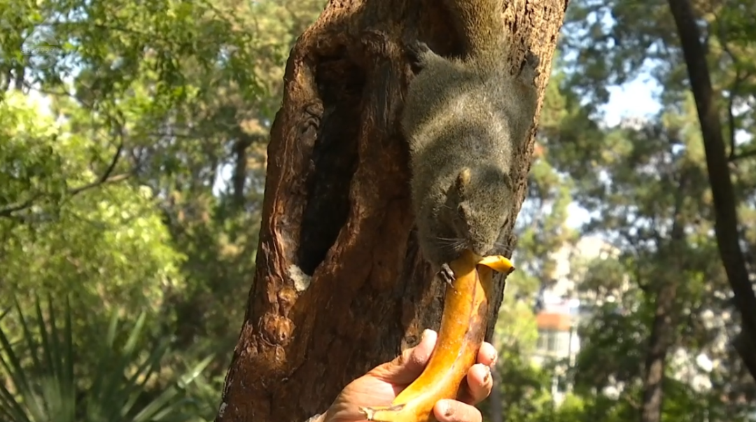 8099999街头巷尾微信