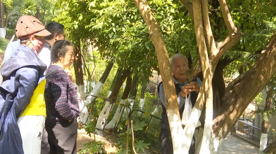 8099999街头巷尾微信