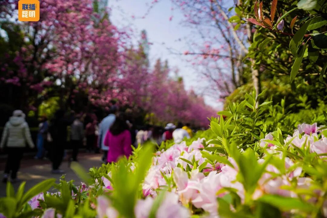 昆明广播电视台