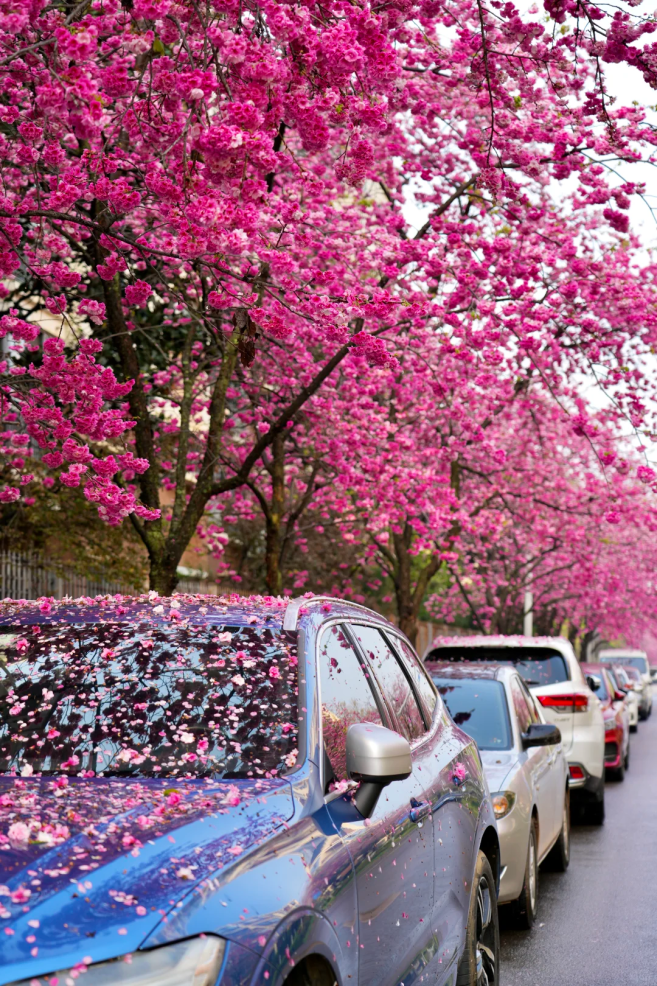 8099999街头巷尾微信