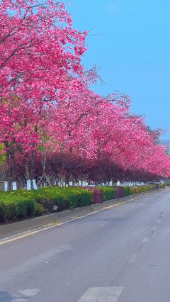 8099999街头巷尾微信