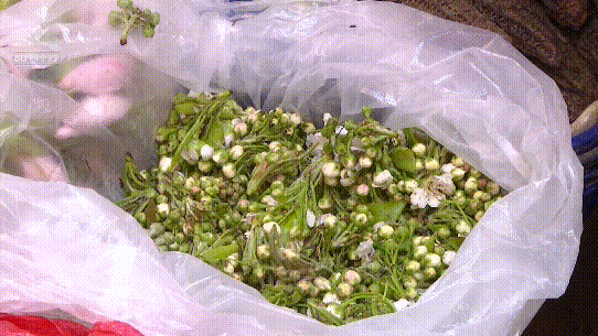 8099999街头巷尾微信