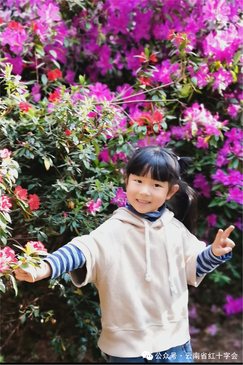 8099999街头巷尾微信