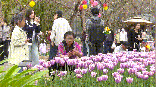 8099999街头巷尾微信