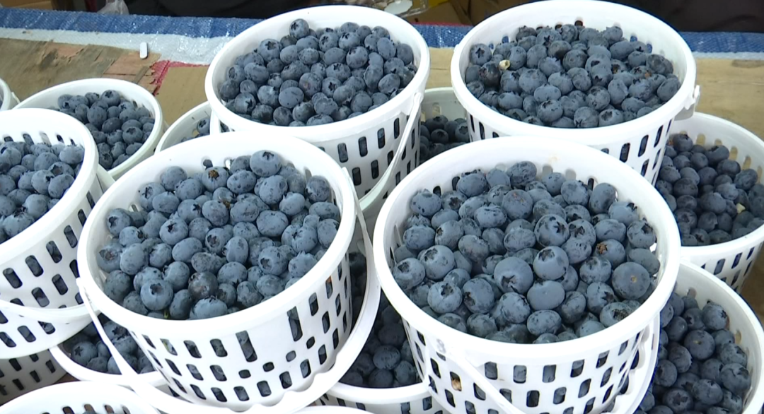 8099999街头巷尾微信